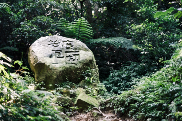 石門山、小粗坑、太元步道942702