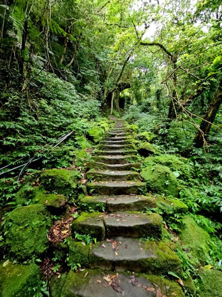 (五分山系)平溪小黃山-2025微笑山線大縱走尋寶集章任務2855287