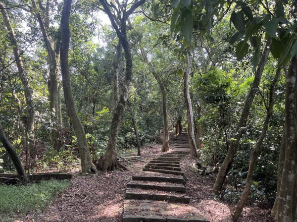 [皮皮獅Hike客任務-09/10] 2024_0831 南埔村觀音步道+挑水壢古道2586319