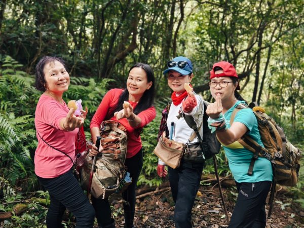 東勢大崙、東勢坑山、觀音湖山O走2986291