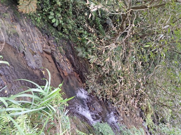 淡蘭中路第四段：威惠廟到灣潭古道登山口3104474
