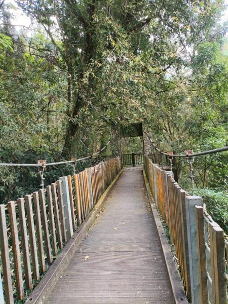 20251218溪頭鳳凰山台寅山上天文台至妖怪村買菜O繞2965600