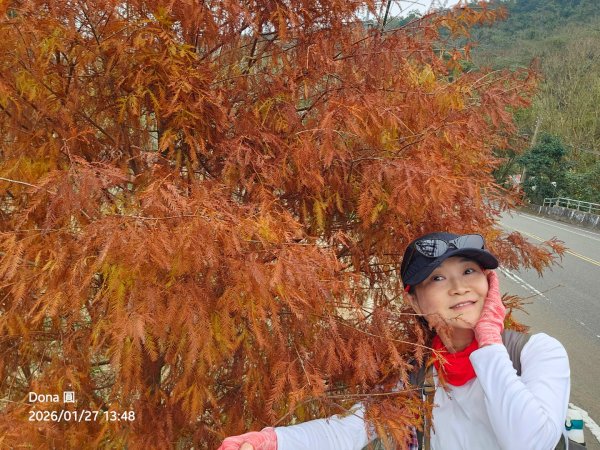 20260127三通嶺山.三義山(大桁茂山).慈濟山.大坪山大O走2989983