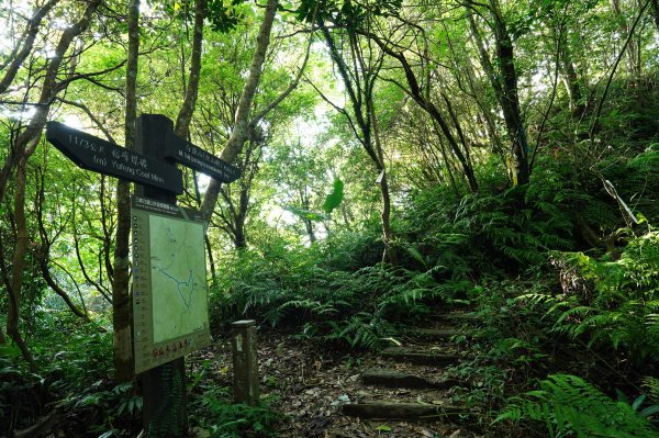 新北 三峽 白雞山、雞罩山2551212