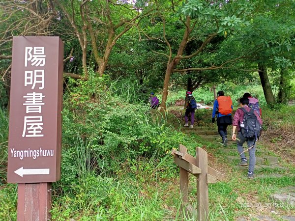 環七星山人車分道-陽金公路段、百拉卡公路人車分道【走遍陽明山】2236328