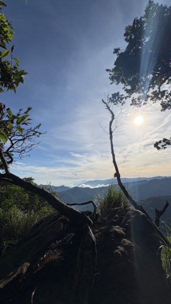 雲海2835092