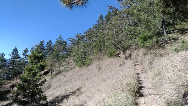 107.05.16雪山東峰一日行333828