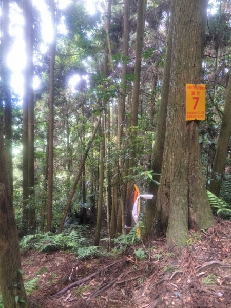 小百岳:向天湖山O型光天高山1432561