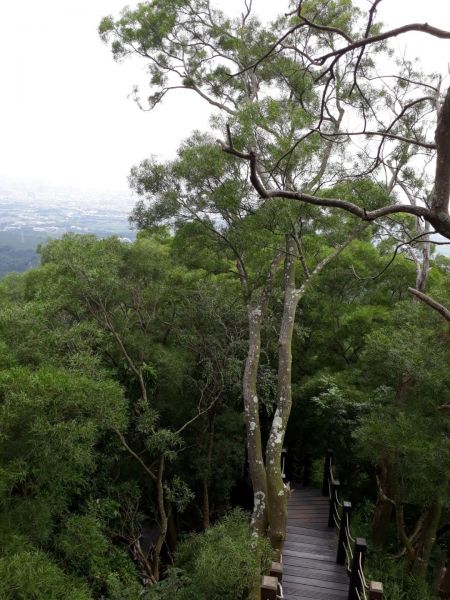 台中新田登山步道20180823396408