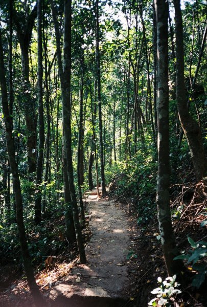 越南卡巴國家公園 - 底片799242