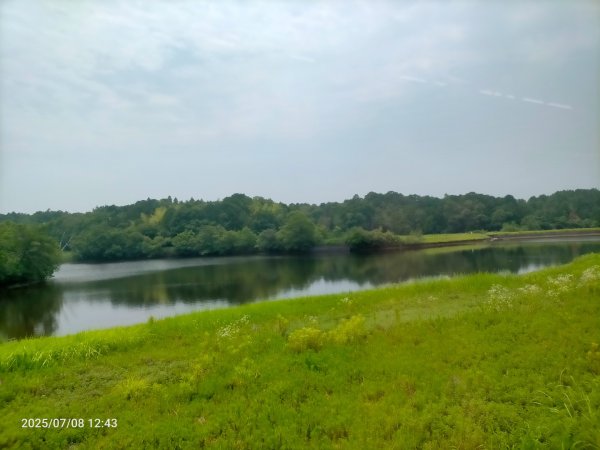 伊賀上野城2831649