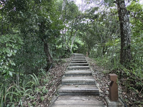 [玉山尋寶任務-07/12] 2025_0824 八通關雲龍瀑布步道2870408