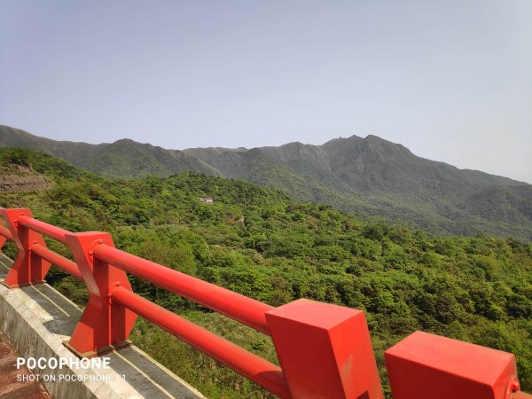 20210405陽明山_七星山主峰+東峰+大屯山主峰1339810