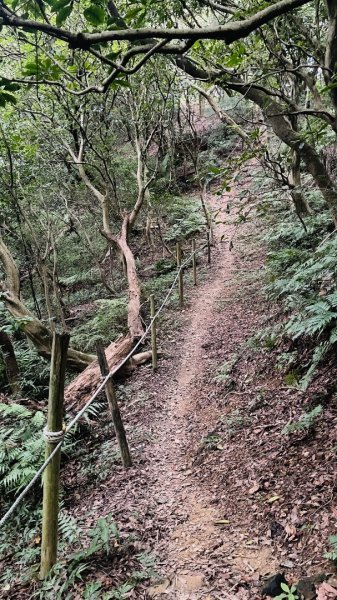 鶯歌石步道2865024