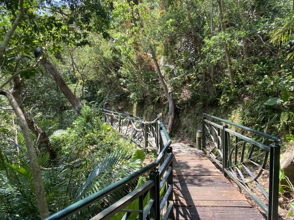 2025微笑山線大縱走尋寶集章任務-Ep.06【二格山系】和美山螢火蟲2880993