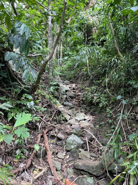 紅頭山大天池2893969