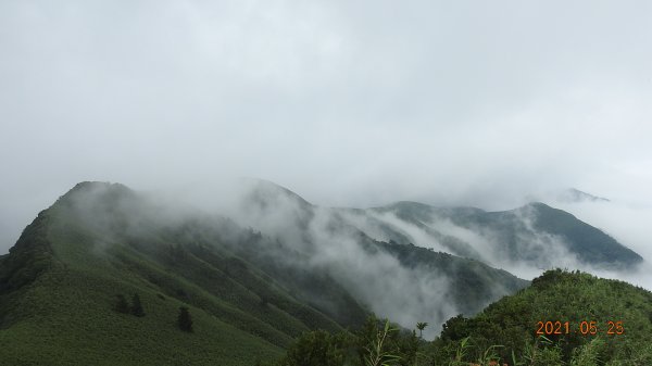 陽明山包場再見雲瀑雲海&觀音圈(匆匆乍現)雖不滿意但可接受1407742