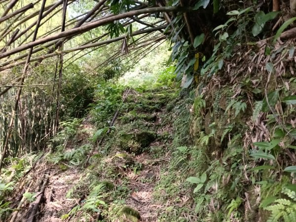 平溪區番子坑古步道O型3042608