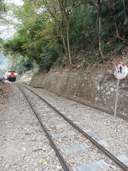 20210228獨立山大籠頂步道1618528