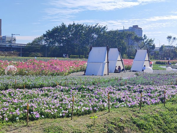 臺北大縱走第八段：捷運動物園站 - 捷運關渡站2723400