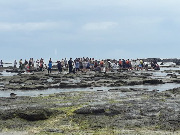 澎湖東海：南面掛嶼2179209