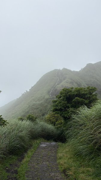 夢幻七星3074403