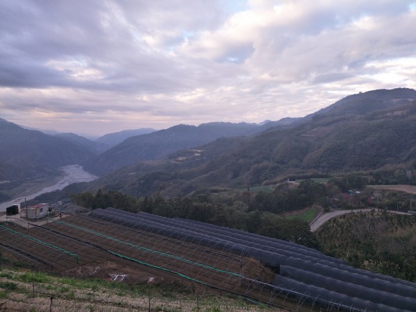 2018 01 27 東洗水山步道255698