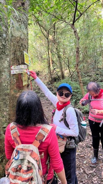 東勢大崙、東勢坑山、觀音湖山O走2986382