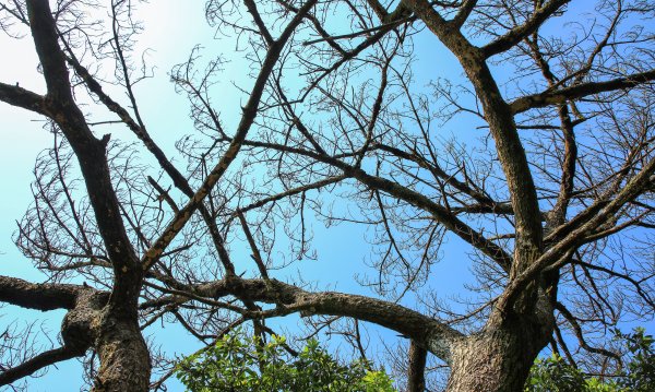 陽明山國家公園小放鬆916919