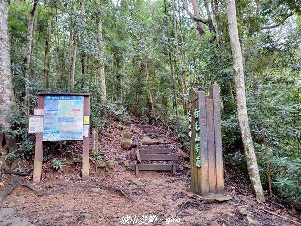 【台中和平】稜線好風光。 谷關七雄~白毛山步道2318483