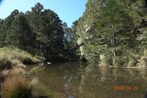 南投 仁愛 武法奈尾山2133765