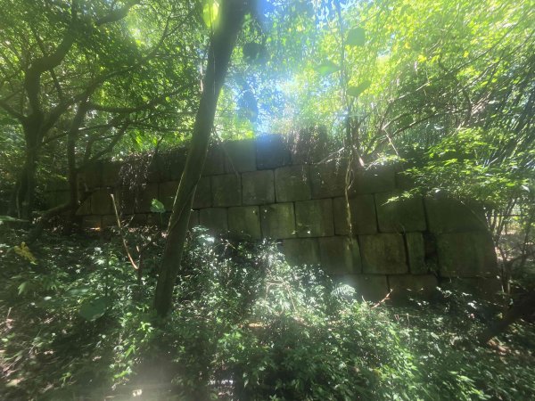 20260803丁火巧山-親水步道3101441