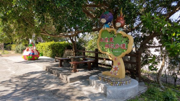 外埔水流東桐花步道819545