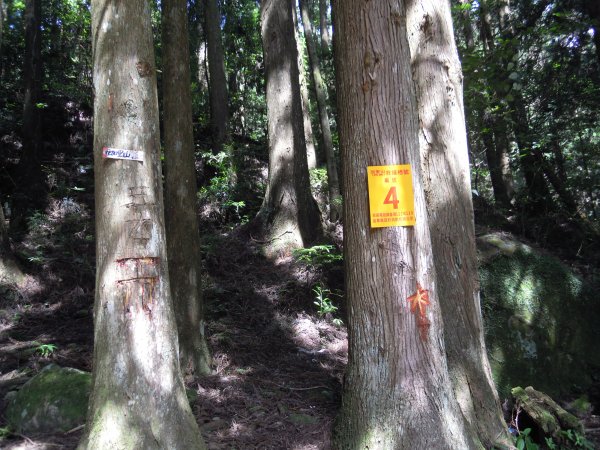 加里山201306301958155