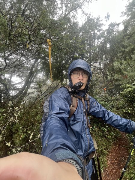 鹿林山-鹿林前山-真鹿林山-石水山-石水山基點峰 2025.5.252798429