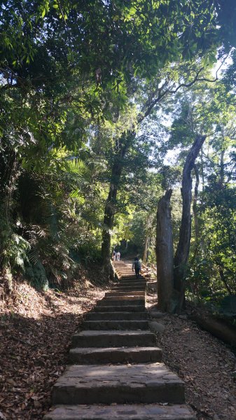 飛鳳山+石壁潭生態步道1189486