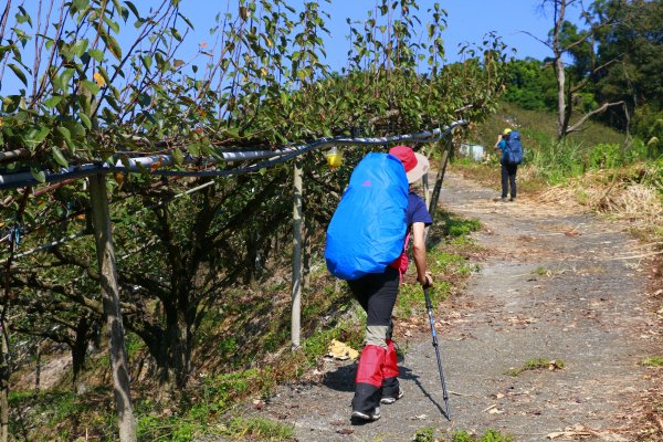 樟之細路縱走：雙崎至東勢1472974