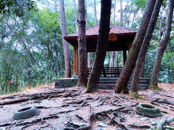 八仙山國家森林遊樂區