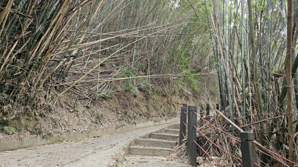 小中嵙登山步道頂中嵙山O形2385040