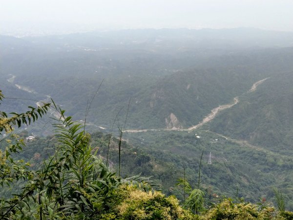 暗影山(小百岳#44)步道 2020/10/171429193