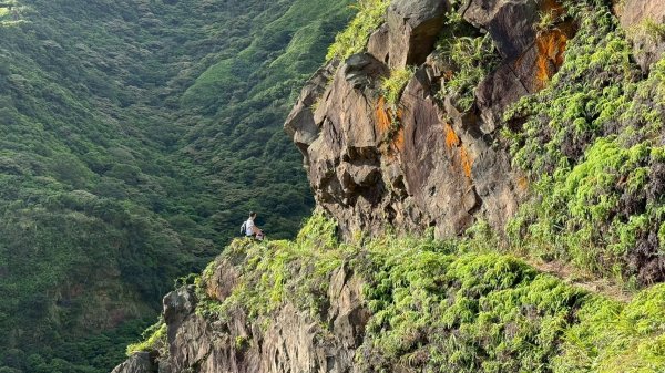 南雅安檢所-南子吝-小錐麓-保羅池-台糖-明隧道-南雅安檢所2894169