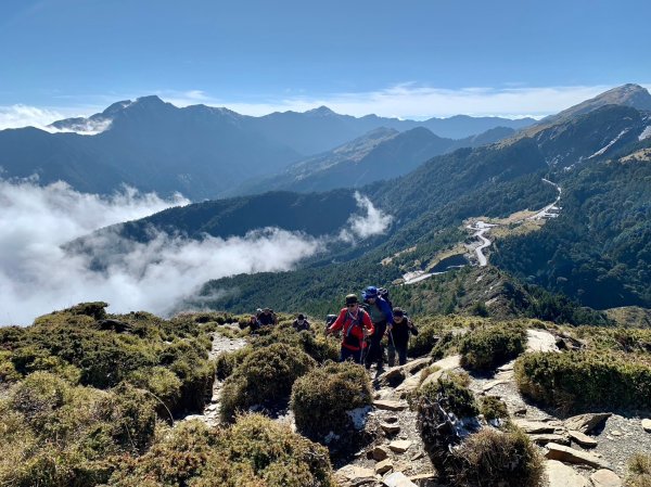 歡樂腳合歡北峰瑞雪2400949