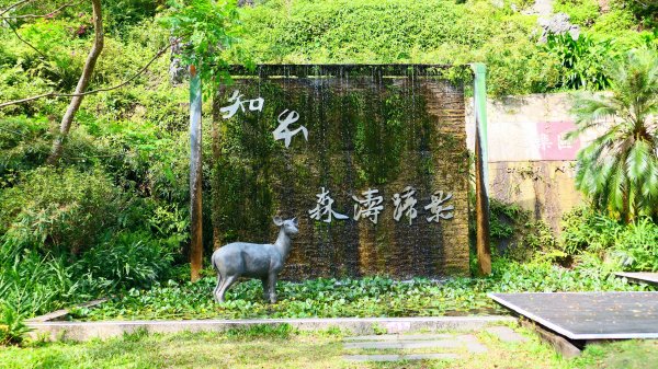 知本森林遊樂區3015062