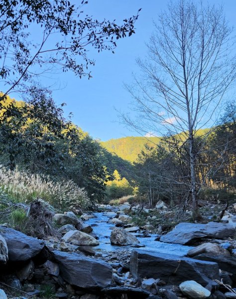 【中級山縱走】羅馬縱走，走進神木的夢幻童話森林世界2943784