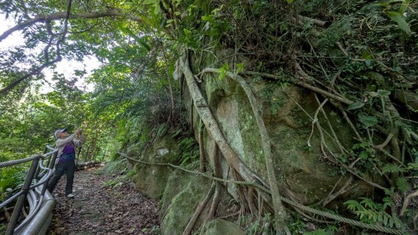 114.06.01溪山百年古圳-太平尾山+聖人崙之旅2801836