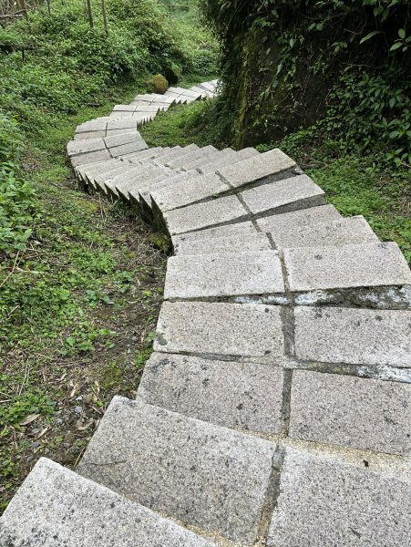 [嘉遊好步道．來嘉走走-04/10] 2024_1011 阿里山頂湖步道2624712