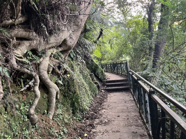 [微笑山線_第六段] 2025_0807 二格山系_和美山螢火蟲段2854611