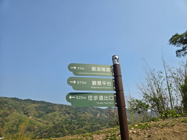 350高地、阿凰臘森林步道3033474