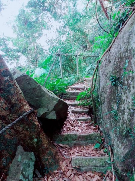 10811梅嶺觀音-梅峰後段-伍龍775321