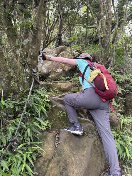 獅仔頭山 2025.07.202864272